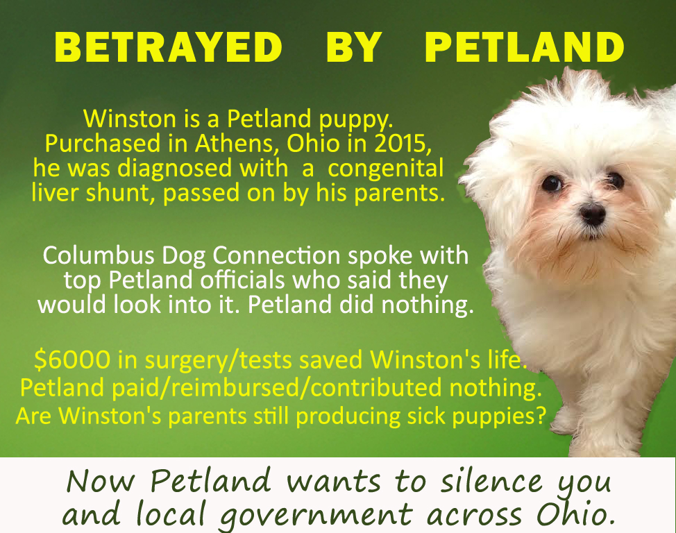 petland cost of puppies